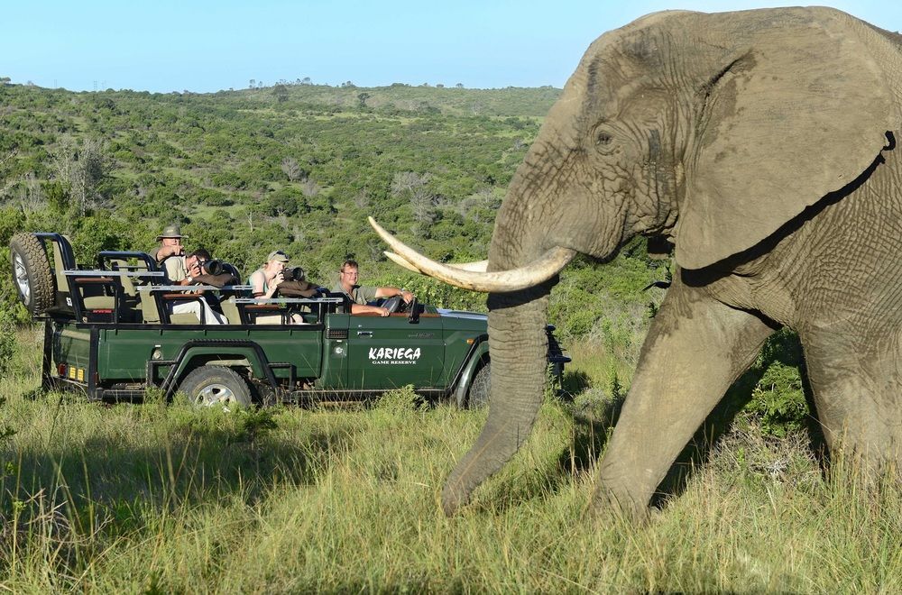 Kariega Game Reserve Settlers Drift Alexandria  Extérieur photo