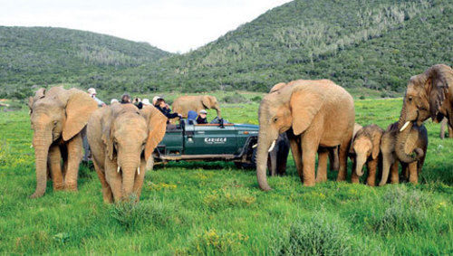 Kariega Game Reserve Settlers Drift Alexandria  Extérieur photo